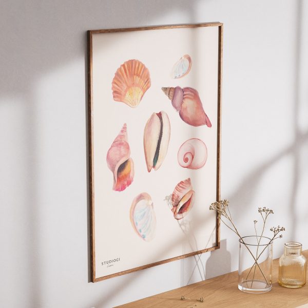 Affiche Coquillages