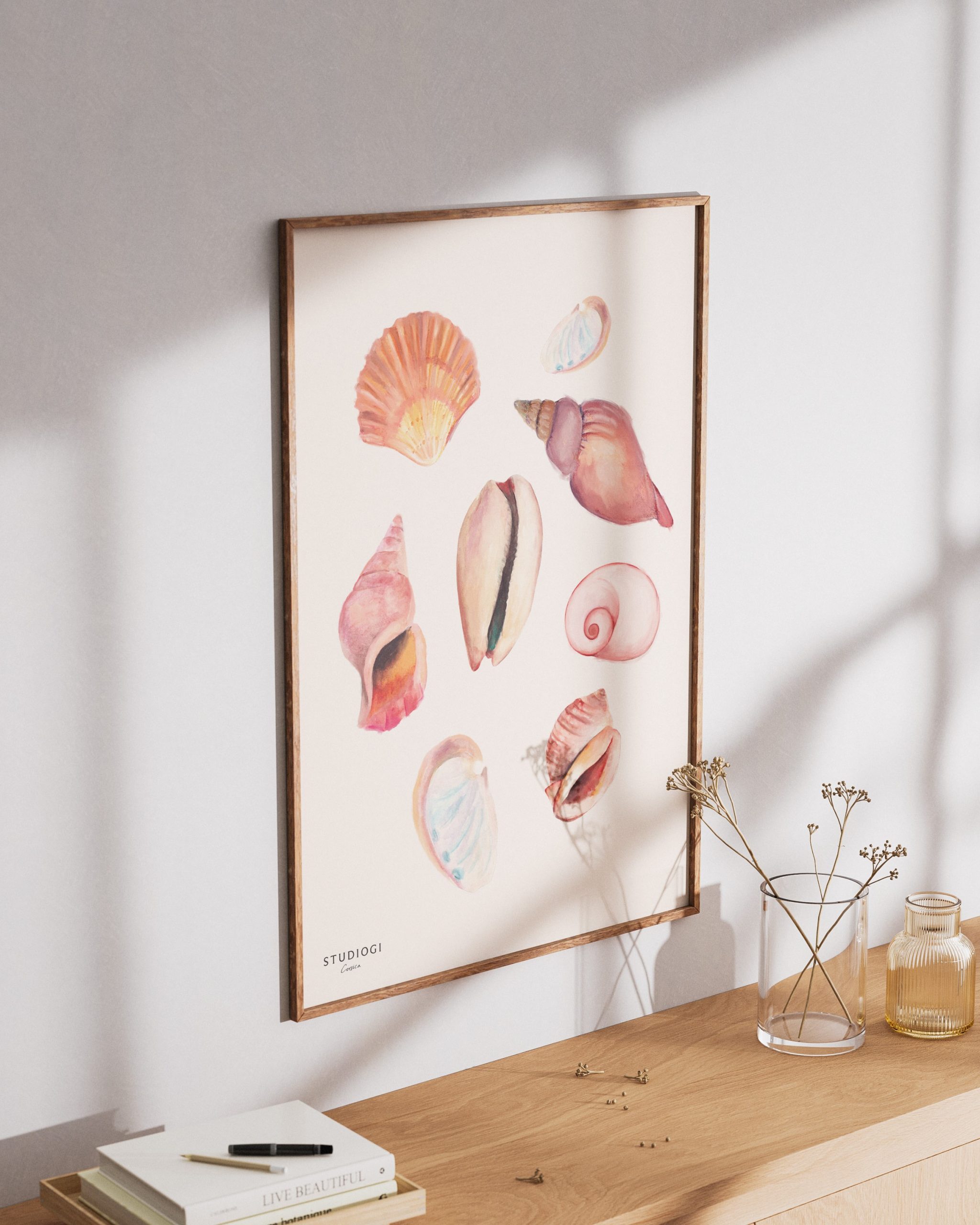 Affiche Coquillages